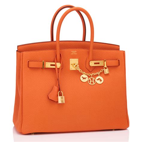 birkin bab